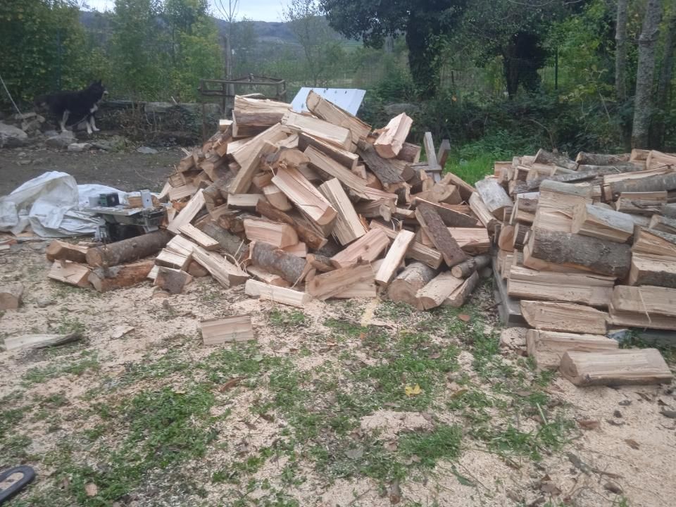 rondins coupés sur la longueur